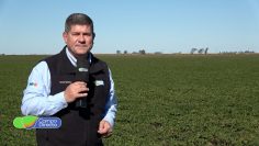 Iván Bettini