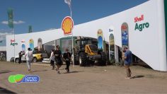 Shell Agro
