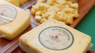 queso orgánico