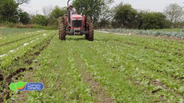 Aproduco