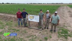 CropClash 2025