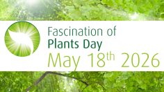 Día de Fascinación por las Plantas