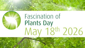 Día de Fascinación por las Plantas