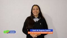 Eugenia Capone
