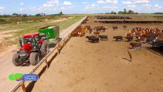 Feed Manager