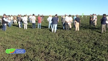 Jornada de Manejo de Fungicidas en Maní (2)