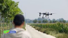 dron agrícola 2