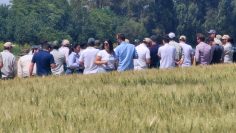 jornada Don Mario