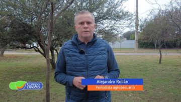 Alejandro Rollán