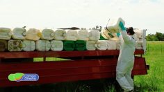Envases Vacíos de Fitosanitarios