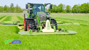 Krone