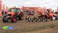 Kubota