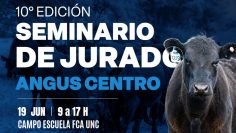 Seminario-Jurado-Angus-web