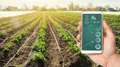 agricultura de precision