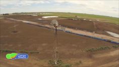 campo (2)