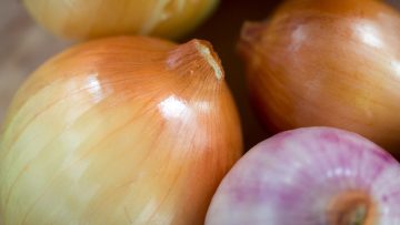 cebollas