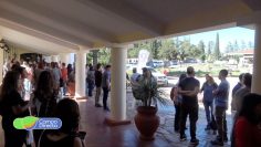 medicos veterinarios