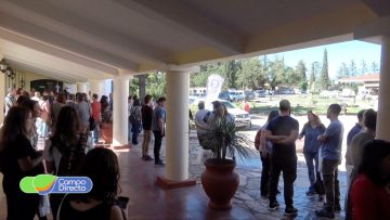 medicos veterinarios