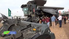 Fendt (1)