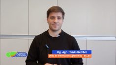 Tomas Kember