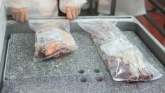 carne 1