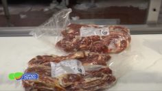carne 2
