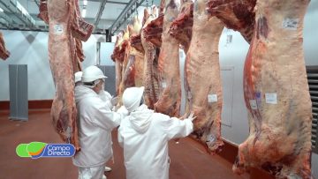 carne