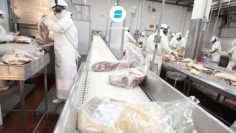 exportaciones de carne