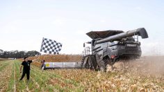Fendt (1)