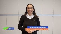 María Eugenia Capone