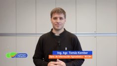 Tomás Kember