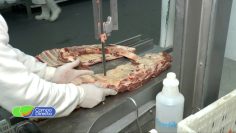 carne (2)
