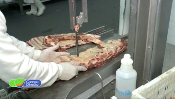 carne (2)
