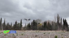 dron