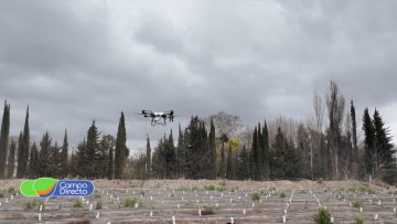 dron