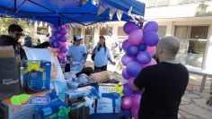 fiesta veterinarios