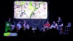 Congreso Internacional de Maíz