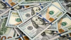 dolares