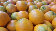 naranjas