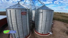 silos Mengo