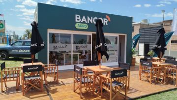 Bancor (1)