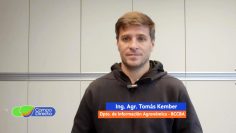 Tomás Kember