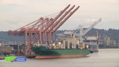 exportaciones