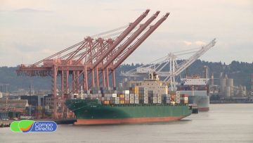exportaciones