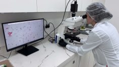 laboratorio