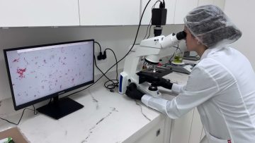 laboratorio