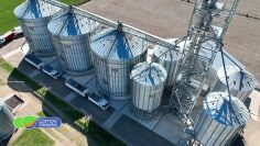 silos Mengo (1)